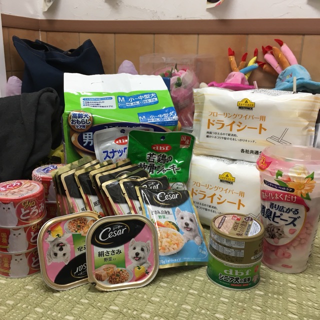 【今日の里帰りワンコ🐶Mダックスのダイスケ君💕】＆支援物資をありがとうございます💑